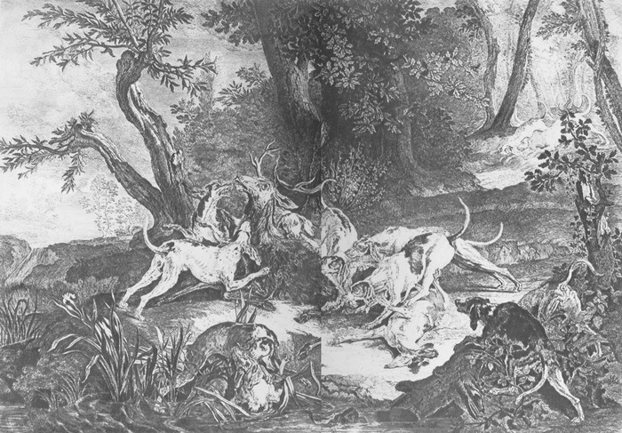 Hallali par J.-B. Oudry - Illustration tirée du Traité de Vènerie par d'Yauville - BnF (Gallica)